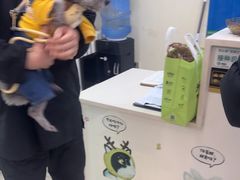 -全心全意连锁动物医院·微创中心·内科急重症·心脏专科(丰管路店)
