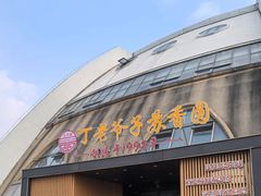 -丁老爷子苏香圆