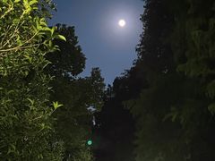 -明翠湖品·湖景餐厅