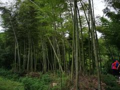 -会稽山峡洞漂流-上青古道