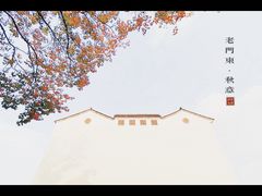 -老门东历史文化街区