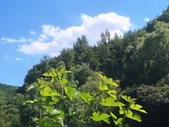 -百里山水画廊乌龙峡谷