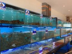 水产区-南海渔家•海鲜•正宗海南菜(海棠湾店)