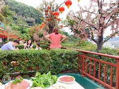 -枇杷园食为鲜火锅(南山店)