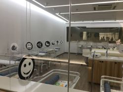 -海豚湾高端月子会所(黄浦店)