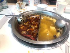 -傣妹火锅(狮子桥店)