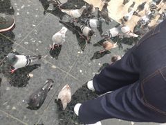 -加泰罗尼亚广场