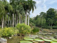 -中国科学院西双版纳热带植物园