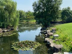 -西山漾湿地公园