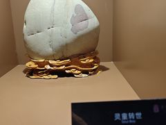 -中华赏石园