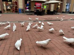 -王府井奥莱临潼小镇(临潼店)