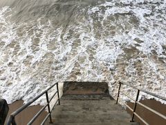 -胜海大排档·海鲜·黄鳝饭(十年老店)