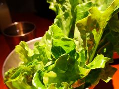 -春熙台韩国料理·章鱼肥牛(西丽店)