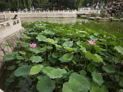 -中国人民解放军空军特色医学中心(空军总医院)