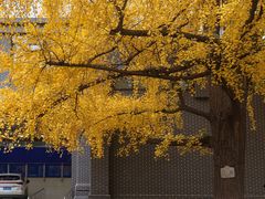 -四川大学(华西校区)