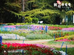 -海淀公园