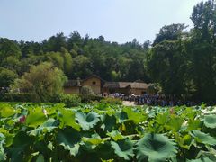 -韶山毛泽东同志故居