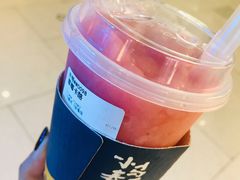 -春丽小马(济南恒隆广场店)