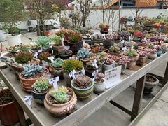 -禾气食店