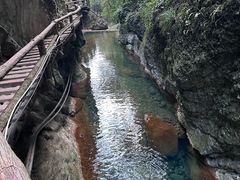 -青城山