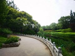 -大望京公园