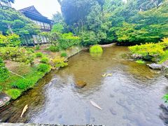 -水前寺成趣园