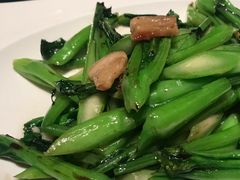 清炒菜心-大树餐厅(益田假日店)