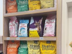 -四月宠物医院·猫专科·心脏专科·内科(转塘店)