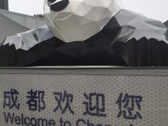 -成都尼依格罗酒店