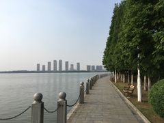 -燕鸣岛