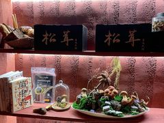-滇野云南野生菌餐厅(陕西南路店)