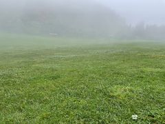 -武陵山森林公园