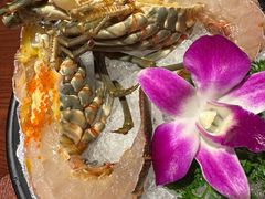-东海怡品海鲜豆捞(舟宿夜江店)