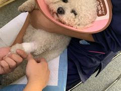 -天津前进宠物医院(前进道店)