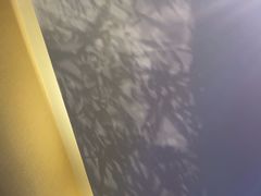 -华夏良子·足道SPA艾灸(王府井店)