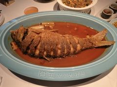 红烧黄河鲤鱼-阿五黄河大鲤鱼(英协路店)