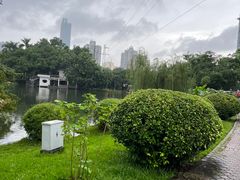 -晓港公园