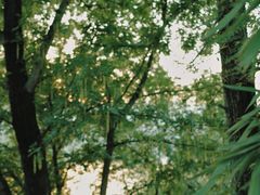 -金海湾滨江公园