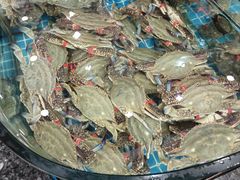 -渔码头食府(蓬莱阁店)