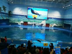 -多彩贵州城极地海洋世界