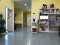 -瑞鹏宠物医院·爱宠堂·骨外专科(西荷分院)