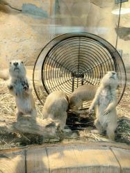 -Zoolung Zoolung动物主题公园(海信广场店)