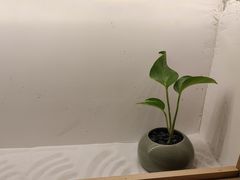 -常乐·对症推拿(嘉里中心第132分店)