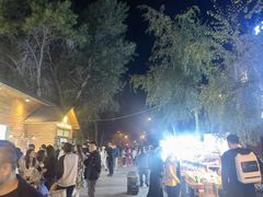 -布尔津河堤夜市