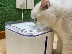 -猫和宫(六道口店)