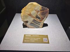 -青田石雕博物馆