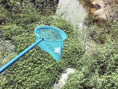 -碓臼峪自然风景区