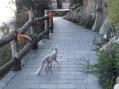 -鸡鸣山旅游风景区