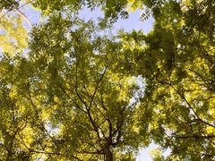 -永定河休闲森林公园