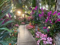 -石家庄市植物园